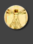 medecine-et-sante-anatomie